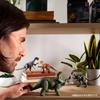 Mattel Jurassic World Hammond Collection Sinoceratops Dinosaur Figure for Dinosaur in Ages 8 and JKG88 Kids, Toy, Approx. 30.4cm Length, Up, Green,
