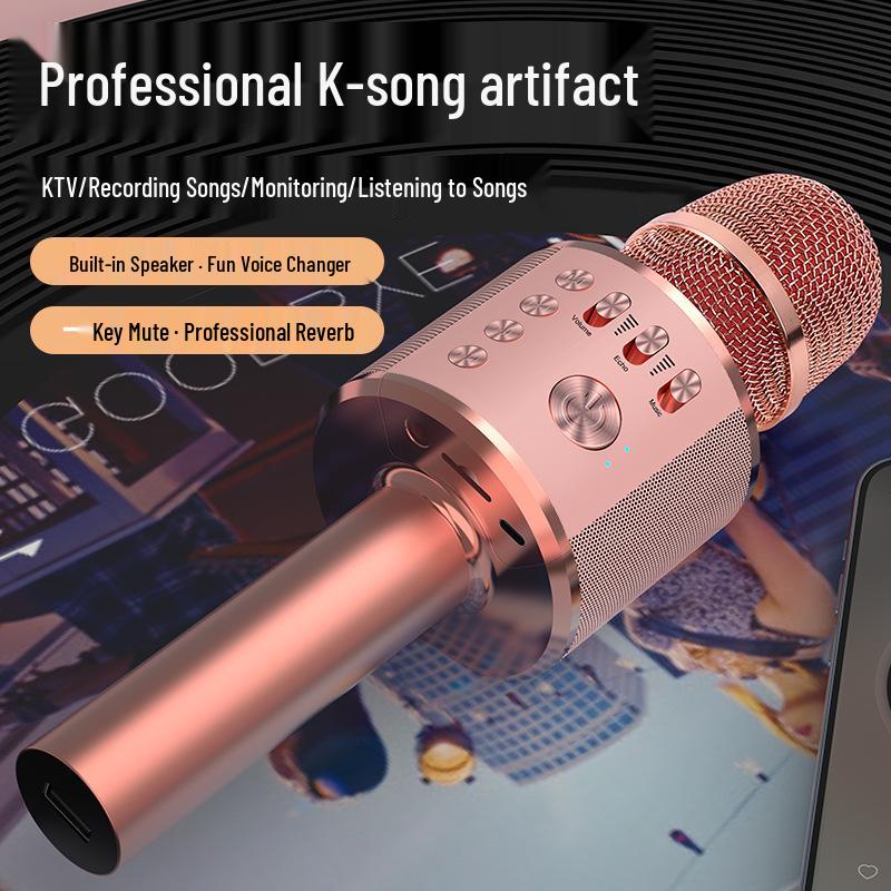 Wireless Home Karaoke Microphone for Kids with Built-in Speaker