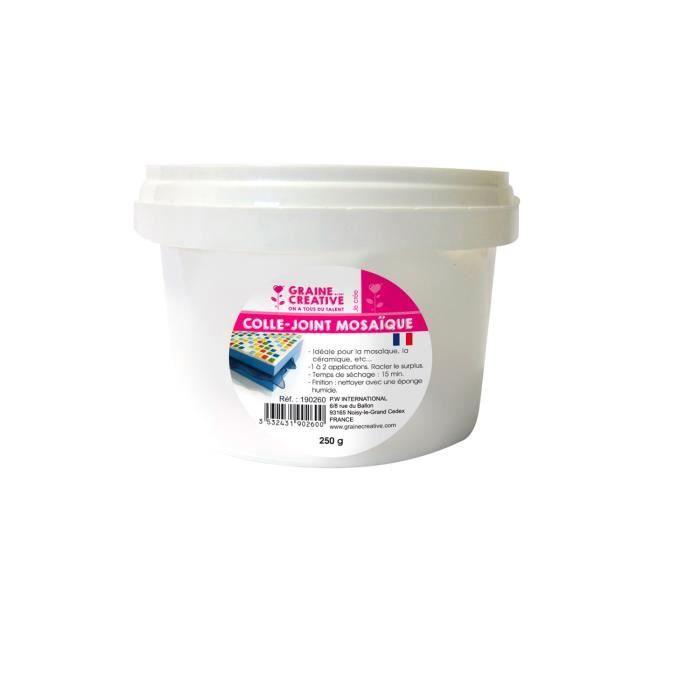 Colle - Mortier Joint - 250Gr - Blanc - Idéale pour maçonnerie