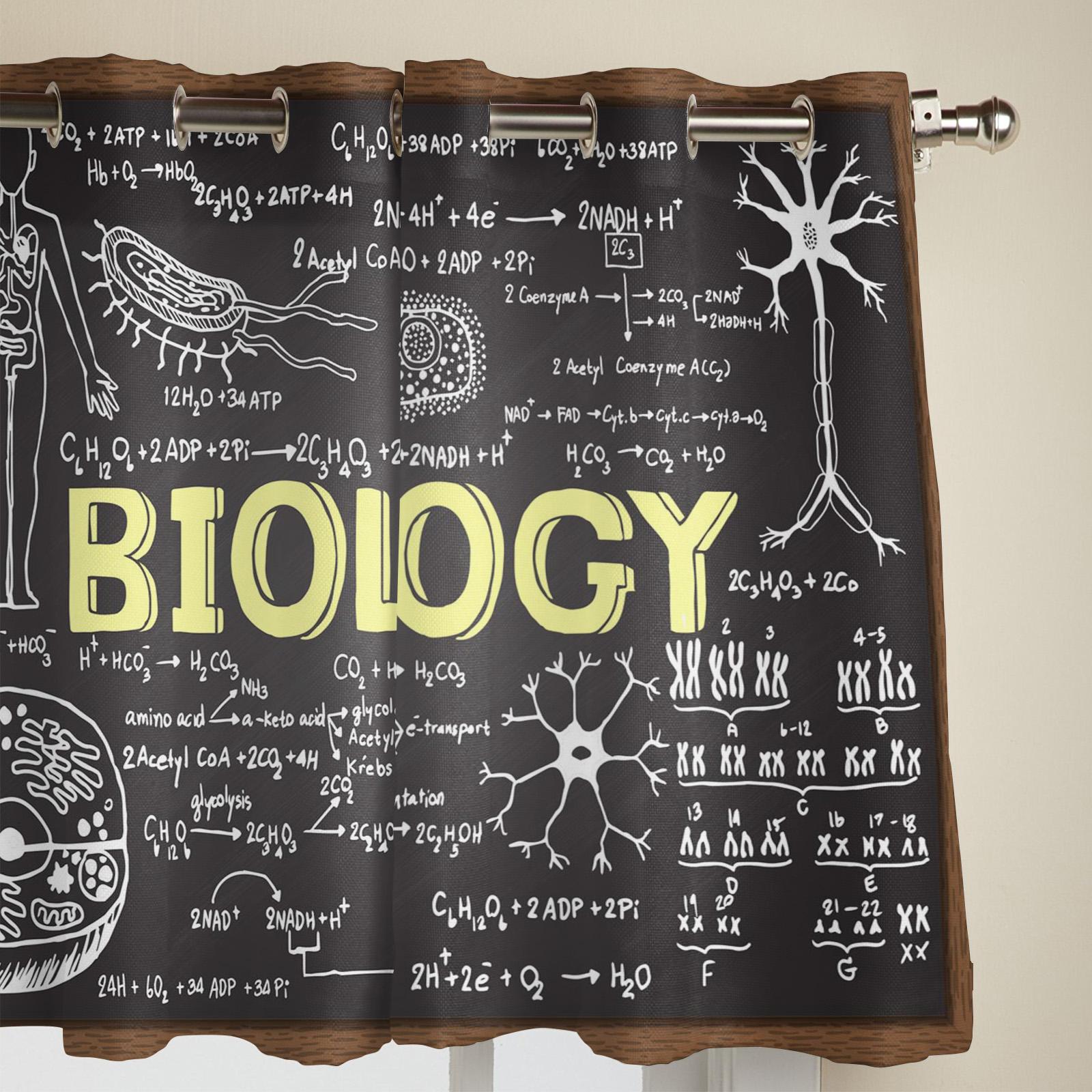 Современные оконные шторы для гостиной — фото 4