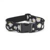 Hundehalsband für kleine, mittlere und große Hunde mit Aufdruckdesign und sicherer Schnalle