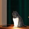 Cat-Shaped Night Light with Aromatherapy Bedside Table Lamp with Sound Function Rechargeable Soft Warm Glow Decorative Figurine Gift for Home Office