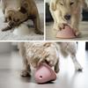 Interactive Dog Toys, Designed To Train Dogs' Focus And Provide Entertainment for Pets, That Hide Food