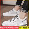 Summer men's shoes 2025 new breathable trend versatile niche design casual board shoes men's trendy shoes