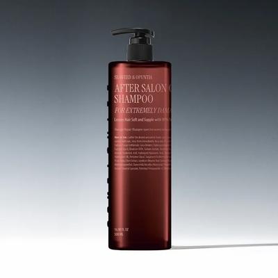 After Salon Pflege Shampoo (Extremer Schaden) 500ml