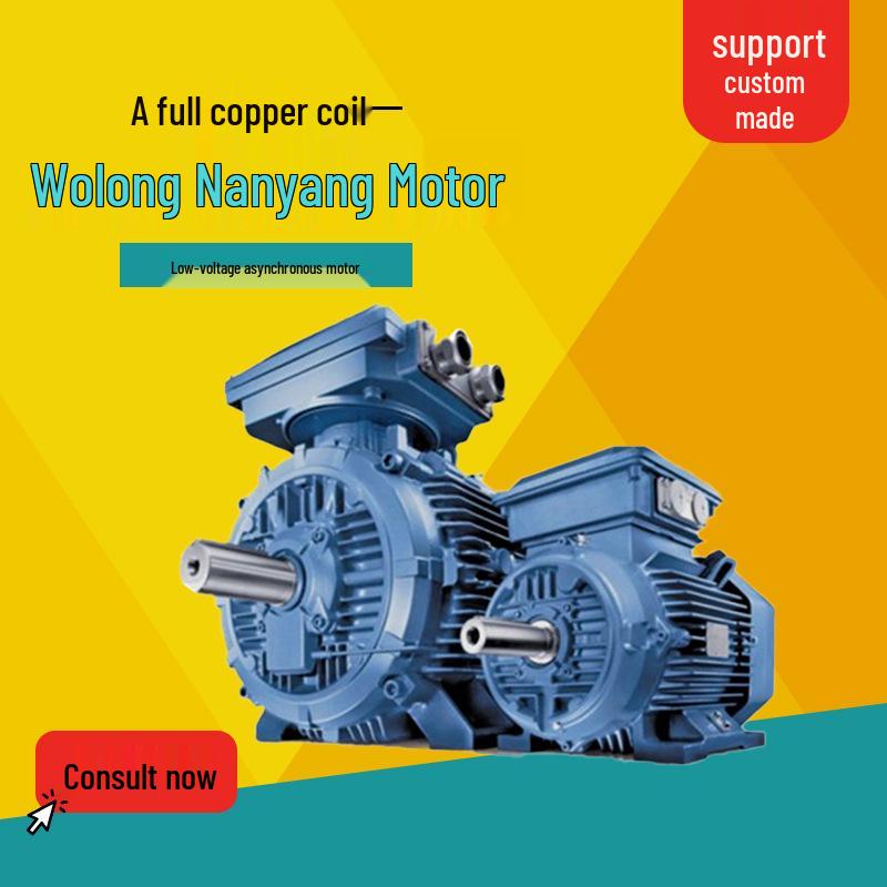 

Wolong Nanyang YFB3 Low-Voltage Dust-Explosion-Proof Three-Phase Asynchronous Motor