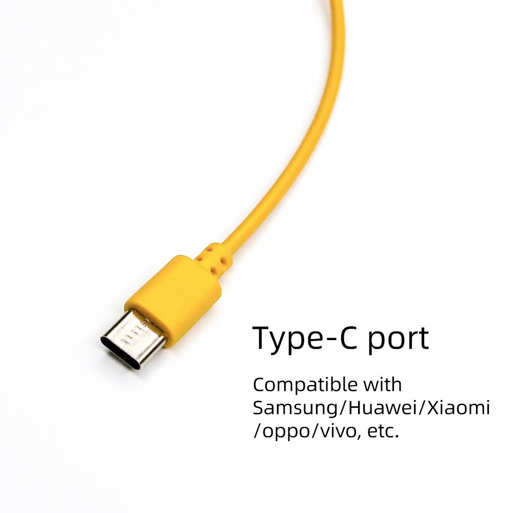 High Quality Multifunctional Ten-in-one Charging Cable Compatible With SP/3DS/NDSL/WiiU/PSP