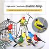 Interactive Singing Knight Bird: Voice-Controlled, Chirping, and Moving Toy for Kids