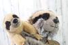 Take Off Realmore Sloth Parent and Child