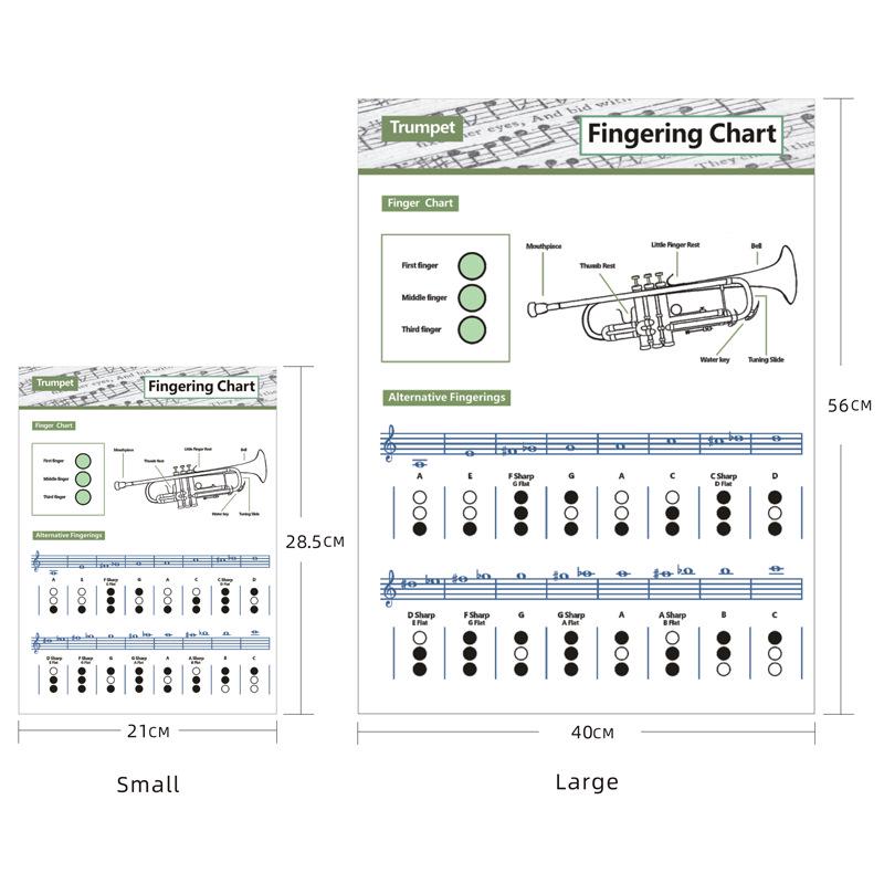 Compact Trumpet Fingering and Chord Chart Diagram