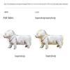 Transparent Dog Raincoat, Waterproof Lightweight Poncho for Small to Large Dogs, Hooded Pet Rain Jacket for Walking