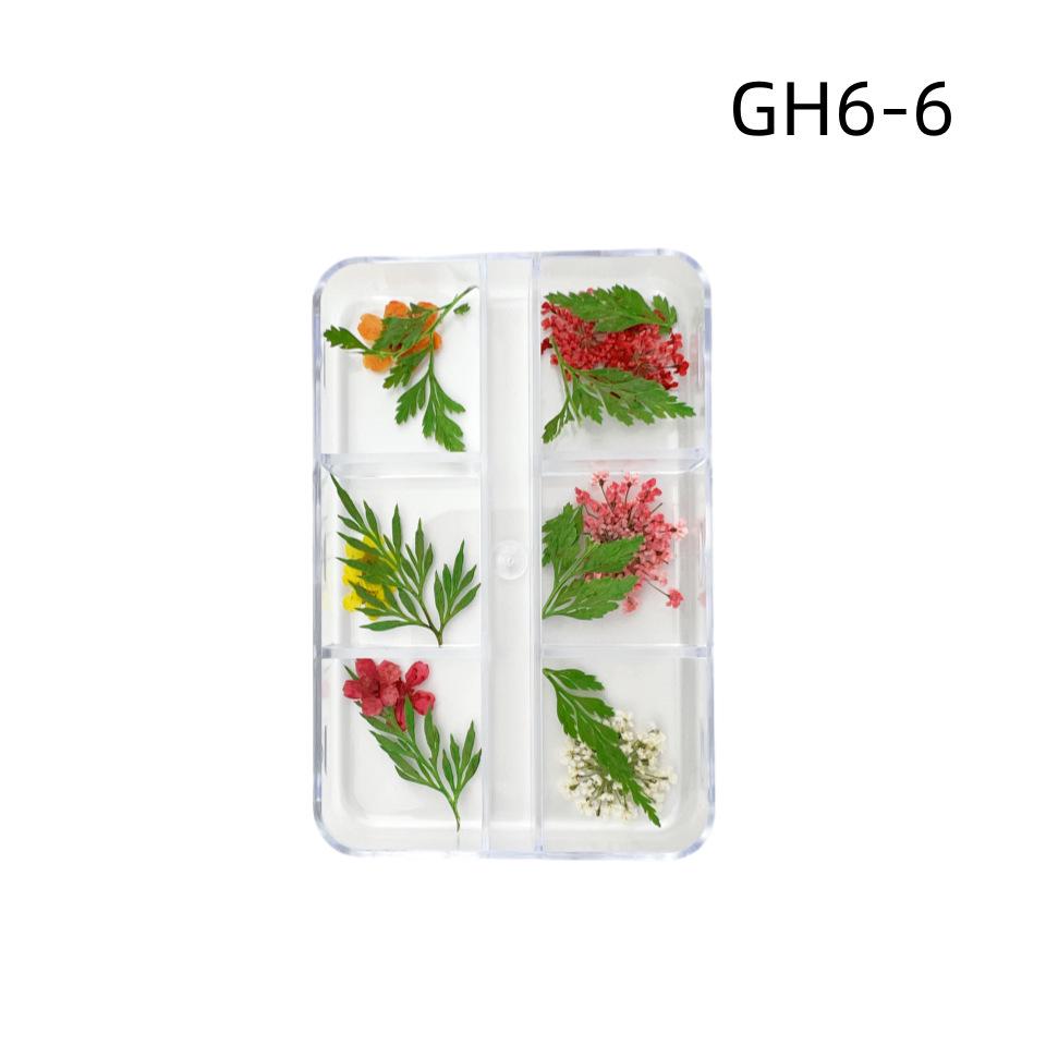 6-Grid Natural Dried Flowers for Nail Art - Japanese Style Sunflower & Baby's Breath DIY Decorations