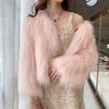 Autumn and Winter New Imitation Fur Women's Imitation Mink Coat Slim and Thin Short Long Hair Light Plush Women's Clothing