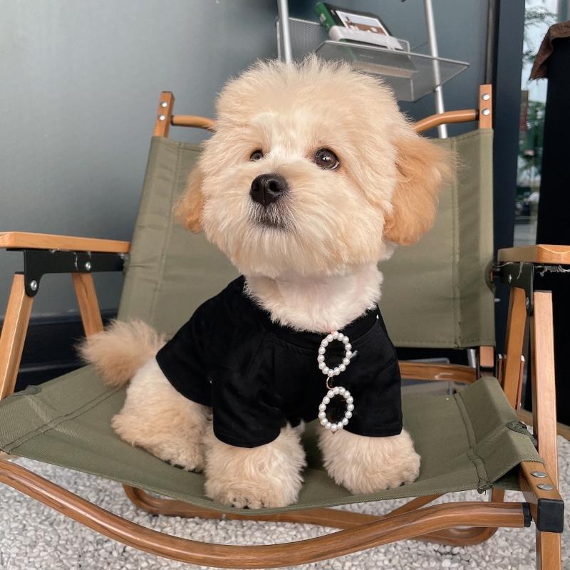 Dogs Sunglasses Small Breeds Dogs Goggles- UV Protection Eye Wear Windproof Anti-Fog Pet Glasses for Small Dogs Cat