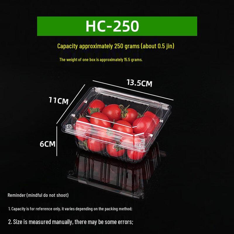 

Disposable Transparent Food Container