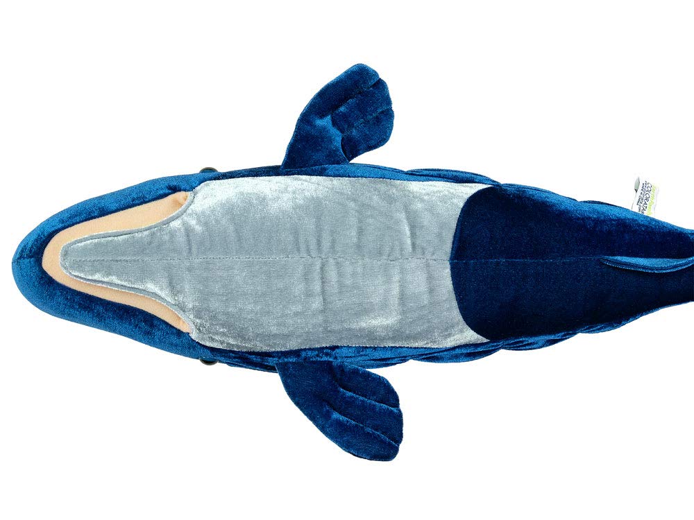 Carolata Sperm Whale Plush Toy (62 x 27 x 14cm  Soft to the Touch) Realistic Whale Animal Toy Doll Gift Present Birthday (Twice Tested)  Christmas