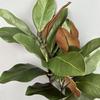 Simulated Magnolia Leaf Plant Green Plastic Flower Arrangement Vase Decoration Branch Scenery Create Home Decor