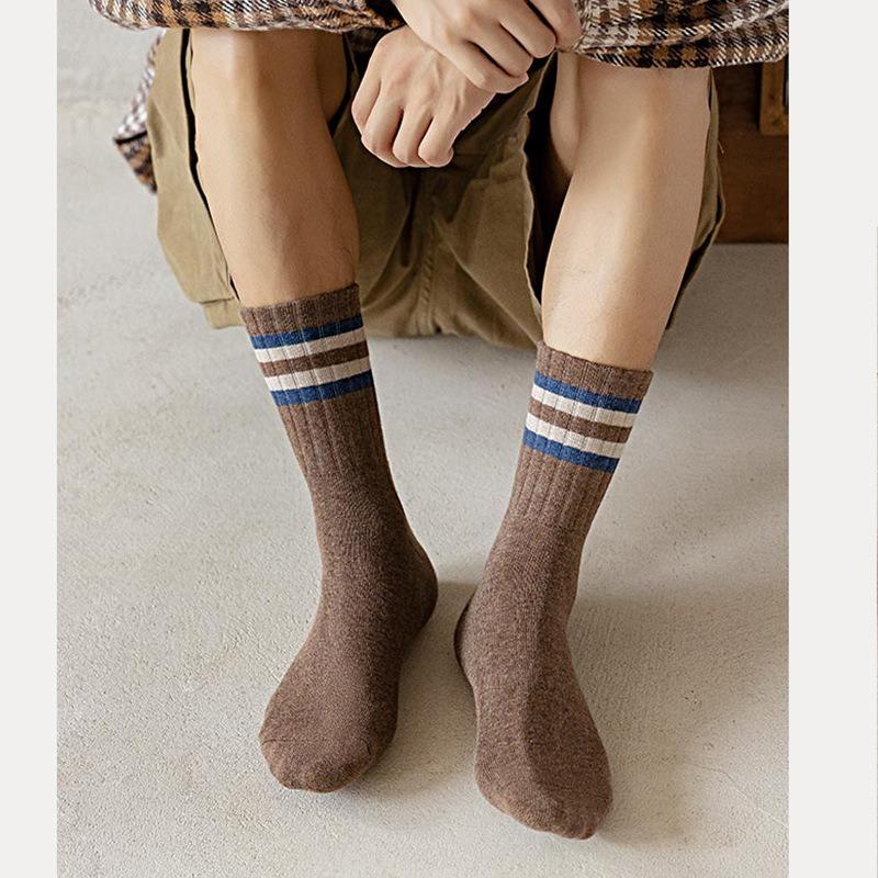 Men's Autumn and Winter Warm Velvet and Thick Towel Bottom Cylinder Pure Cotton Socks