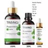 Pure Natural Therapeutic Grade Essential Oils Rose Jasmine Eucalyptus Mint Vanilla Tea Tree for Skin Care Massage Diffuser Oil