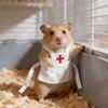 Produse pentru animale – Rozătoare