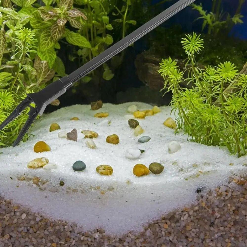 Aquatic Plants Aquarium Planting Tools Yee Acrylic Aquarium Fish