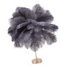 Ostrich   Table Lamp Rechargeable Modern Romantic Decoration Lamp Bedroom Bedside Lamp for Home Decoration