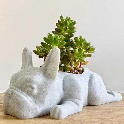 Maceta de Resina Estatua Figurita Suculentas Plantas Aromáticas Maceta Contenedor Decoración Hogar Balcón Jardín Bulldog Francés