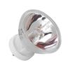 Dental Chair Halogen Bulb Lights Professional Heat Conduction 12V 75W 35mm Bulbs for Dentists