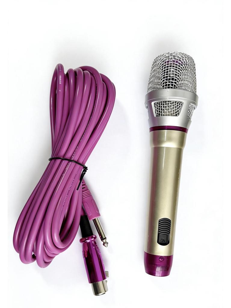 B336 Professional Wired Dynamic Karaoke Microphone