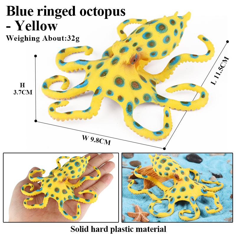 Oenux Marine Molluscs Model Simulation Squid Octopus Growth Cycle Action Figure Sealife Animals Education Collection Kids Toy