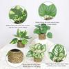 Plante Verzi Simulate Stil Nordic Decorare Living Birou Plante la Ghiveci Frunze de Guanyin Picurătoare Plante Verzi Simulate