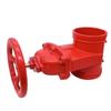 Erbeli DN300 Fire Grooved Soft Seal Gate Valve CN Plug (adapter Included)
