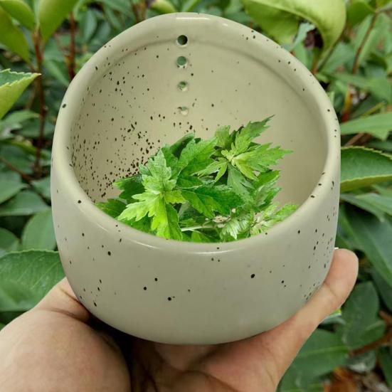 Ciotola Spogliaerbe per Erbe in Ceramica Tazza Spelafoglie per Erbe Fatta a Mano con Diverse Dimensioni di Fori Rotondi Strumenti Efficienti per Rimuovere le Foglie