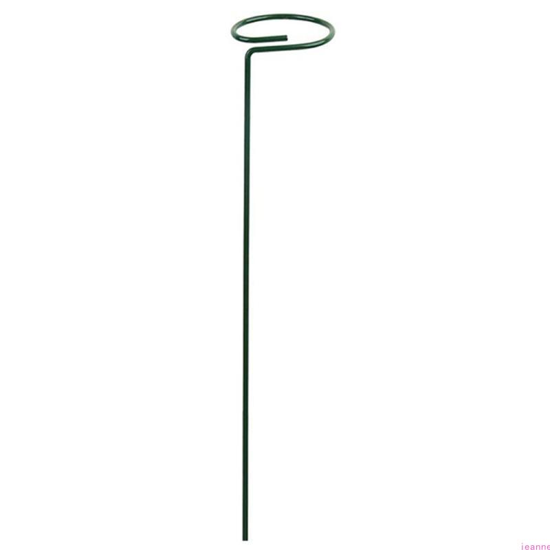 Garden Support Stake Ring Metal Garden Plant Supports Single Stem Shrub Holder
