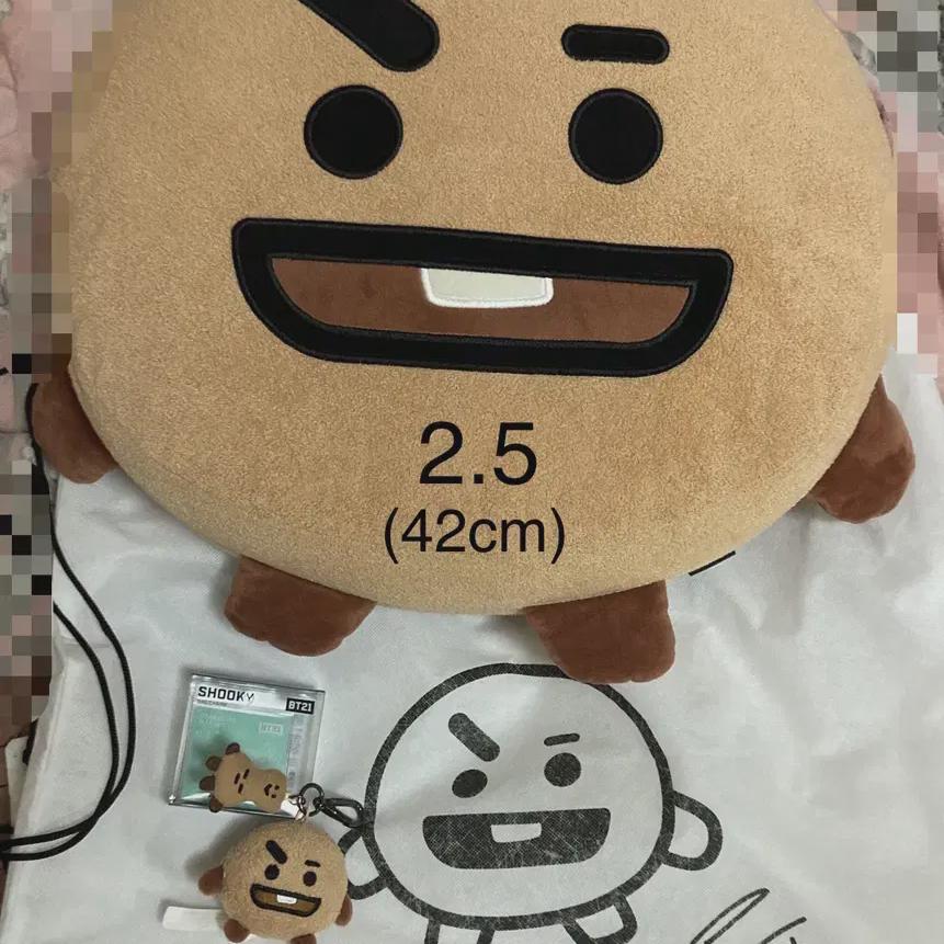 

Bt21 Bts Bt21 Doll Cushion Shoe