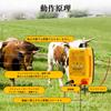 [ahomeone] DIY Electric Fence Kit with High-Power Pulse & LED Voltage Display, Premium Animal-Proof Electric Fence Energizer, Animal-Proof Electric Fe