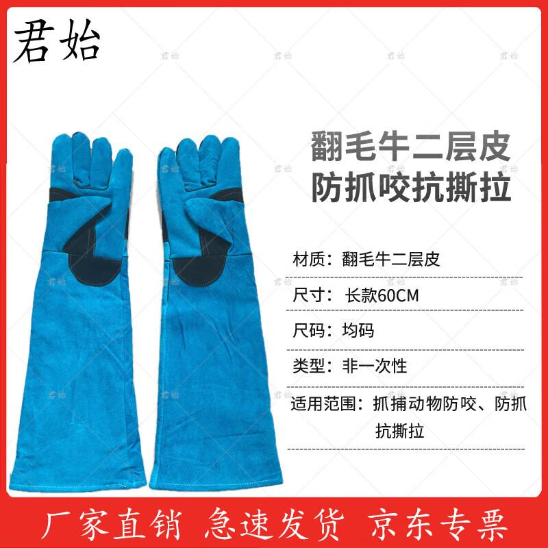 Profesionální vybavení pro odchyt a zadržení psů