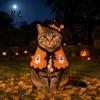 Funny Pet Outfit Halloween Cat Witch Costume, Cute Ghost Cloak, Decorative Cape Festival Outfit, Kitty Cosplay for Holiday Party Accessories