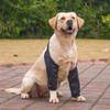 Practical Cartoon Pattern Dog Elbow Sleeves Cotton Soft Dog Elbow Protector Shoulder Support Brace Pet Knee Pads For Puppy Dogs