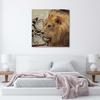 Canvas print Lion Animals Africa