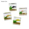 Fish Tank Toy Miniature Ornaments Resin Dollhouse Fish Tank Scene Accessories
