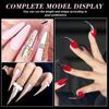 3D Eagle Claw Curved Fake Reusable Nails Full Cover Press On Nail Forms Molds Crystal Nail Extension Tip Suitable For Poly Nail