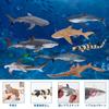 TOYMANY Animal Figures 8PCS Shark Figures Marine Animal Figure Set Marine Life Fish Sea Creatures Realistic Animal Models Shark Lovers Popular Animal
