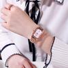 Solid Steel Belt Fashion Ladies Watch Casual Fashion Versatile Calendar Waterproof Quartz Dial