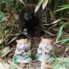 Harz Katze Gopher Gartendekoration Skulptur Figuren Rasen Garten Ornament Geeignet für Außenbereich Fügt Charme Laune hinzu