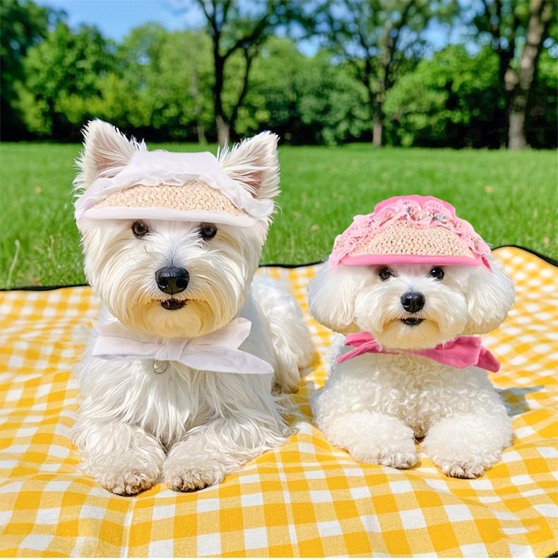 Adjustable Dog Baseball Cap Outdoor Cute Pet Hat for Cats Dogs Breathable Pet Sun Hat with Ear Holes Puppy Headwear Pet Supplies
