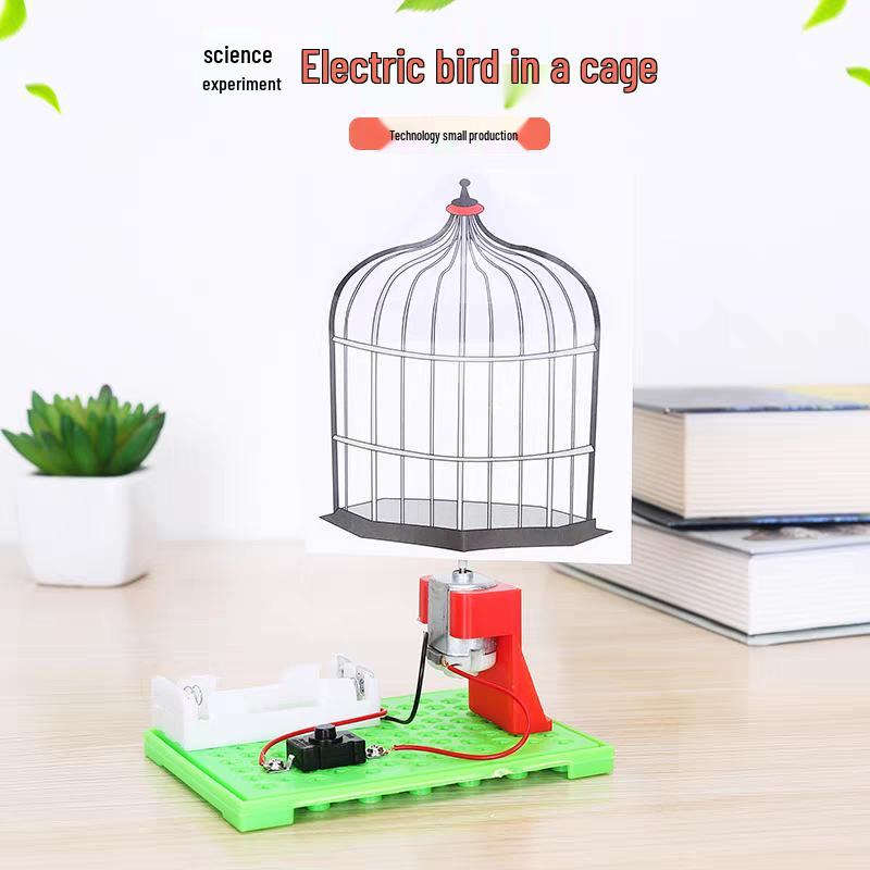 DIY Electric Bird Cage Video Project for Primary Students: Science Model Kit See packaging