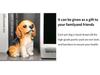 Resin Dog Figurine Basket - Home Decoration Ornament (Poodle, Myna, Bulldog)