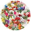 50 Transparent Ins Tulip Sticker Pack, Waterproof Transparent PET Manual Material Decorative Guitar Notebook