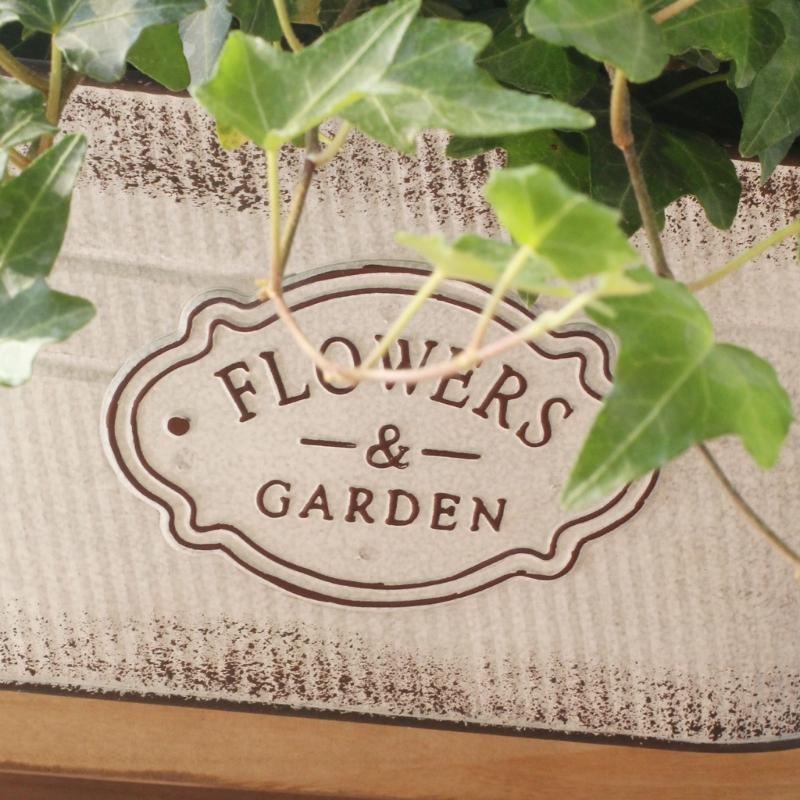 Hanging Flowers Succulents Plant Pots Iron Wall Mounted Indoor Outdoor Garden Decorations Metal Bucket Flowers Basket